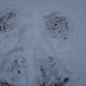 Meet your Posher, Teresa